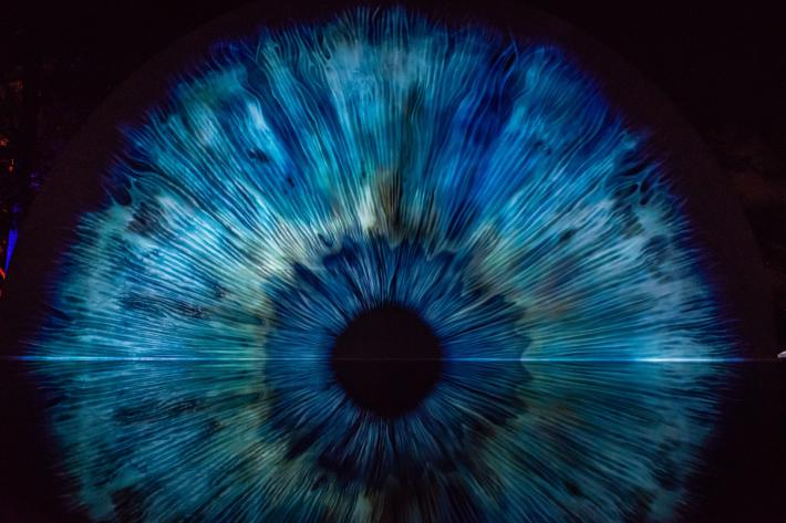 Vedi le mosche volanti? Quando c'&egrave; da preoccuparsi