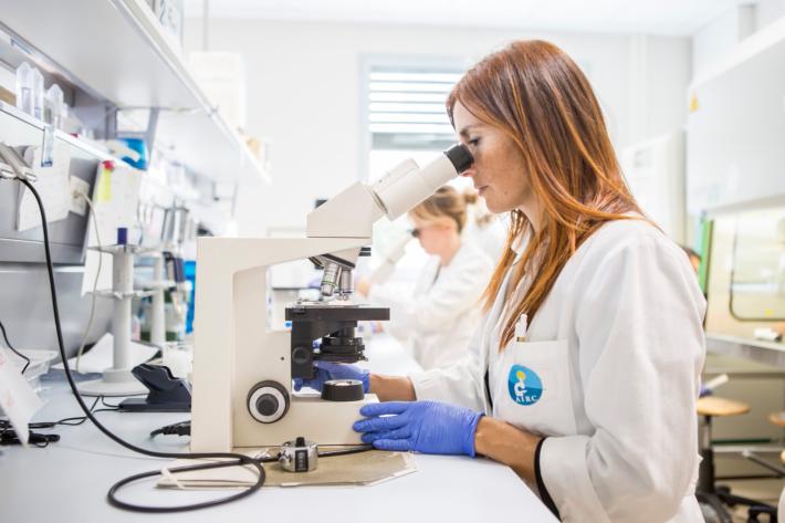 L'Airc in Piazza:  giocando s'impara  a mangiare meglio 