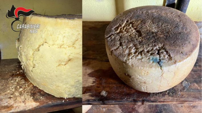 Muffe e insetti su 21 forme di formaggio, sospeso un caseificio in provincia di Reggio Emilia