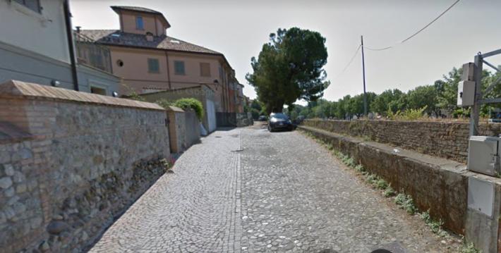 Tagliati pini marittimi nel 2019 in via De Amicis: Sgarbi minaccia una causa al Comune di Montecchio Emilia