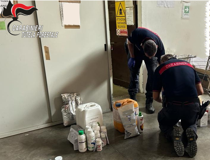 Carabinieri Forestali trovano in azienda prodotti fitosanitari scaduti e con autorizzazione revocata