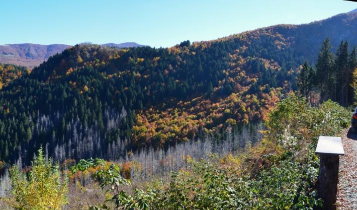 Parco Nazionale, il direttore Vignali: &laquo;Alta Val Parma, un tesoro di tutti&raquo;
