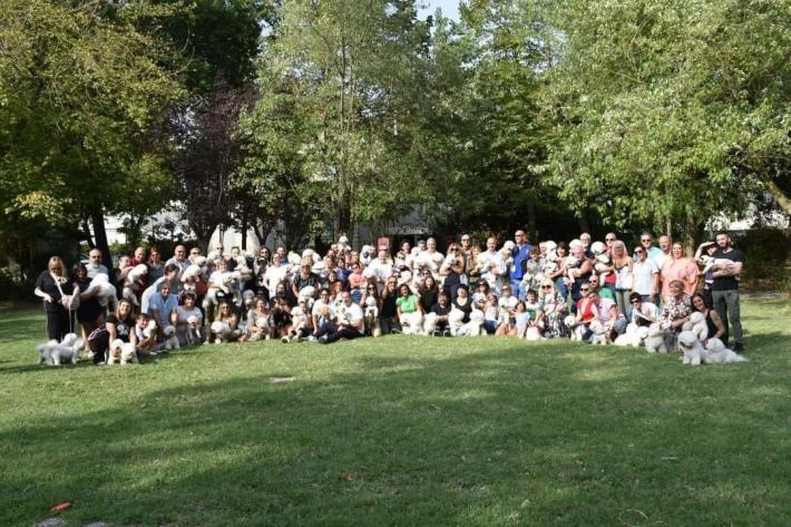 Bichon Fris&eacute;, quanta allegria, un successo il secondo raduno