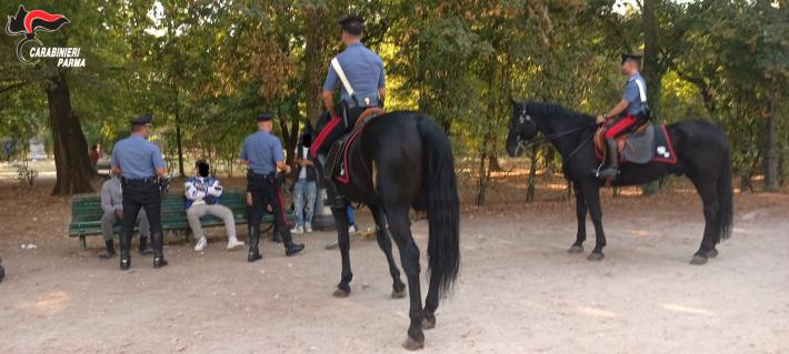 Parma: controllo del territorio 6 denunciati, sequestrati 95 grammi di hashish, elevate sanzioni pecuniarie per oltre 8.000,00 euro. segnalati alla prefettura 3 assuntori di stupefacente.