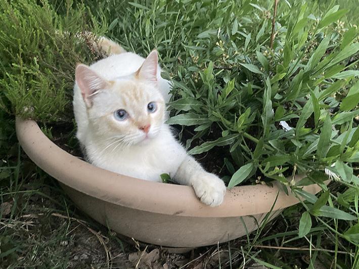 Aiutami a tornare a casa!