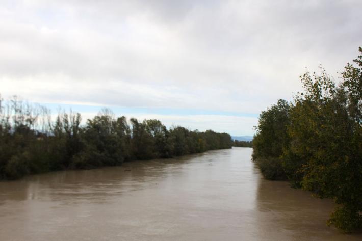 Comunicato AIPo (Agenzia Interregionale per il fiume Po)