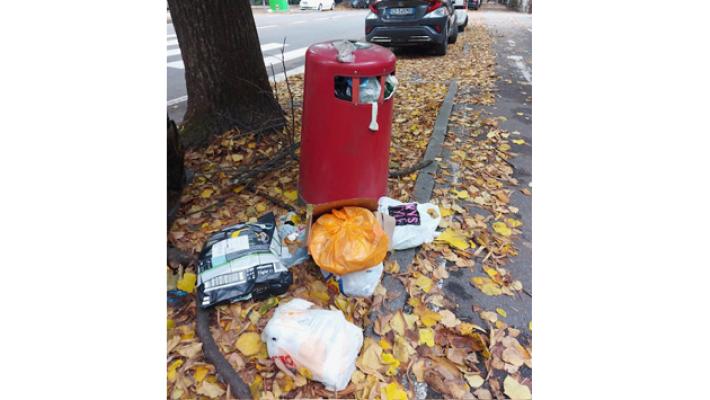 Via Duca Alessandro incivil&agrave;