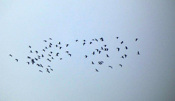 Nuovo spettacolo sul grande fiiume a mezzogiorno