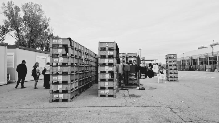 Massari. "Met&agrave; dei comuni della provincia non ha strutture per l'accoglienza". E il rischio di allontanamento dai nuovi centri &egrave; reale