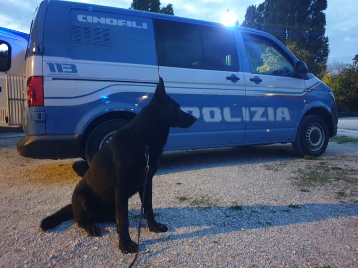 Sequestrati 150 gr . di hashish e 20 di marjuana. Denunciato uno straniero irregolare per immigrazione clandestina