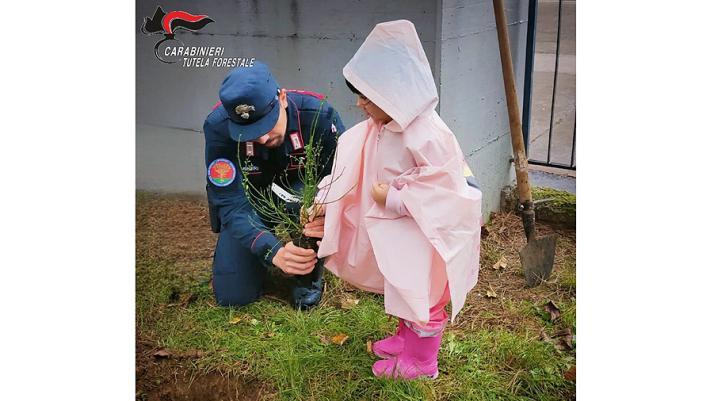 Giornata dell'albero