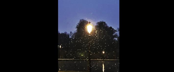 La prima foto di neve (dei gazzareporter) &egrave; del parco Ducale