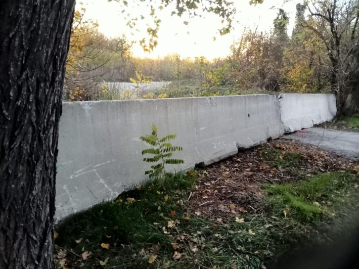 Rimossi i rifiuti abbandonati in strada Argini Enza 