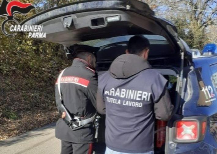 Langhirano: controlli a tappeto dei ristoranti della zona pedemontana. Riscontrate violazioni e cumminate sanzioni