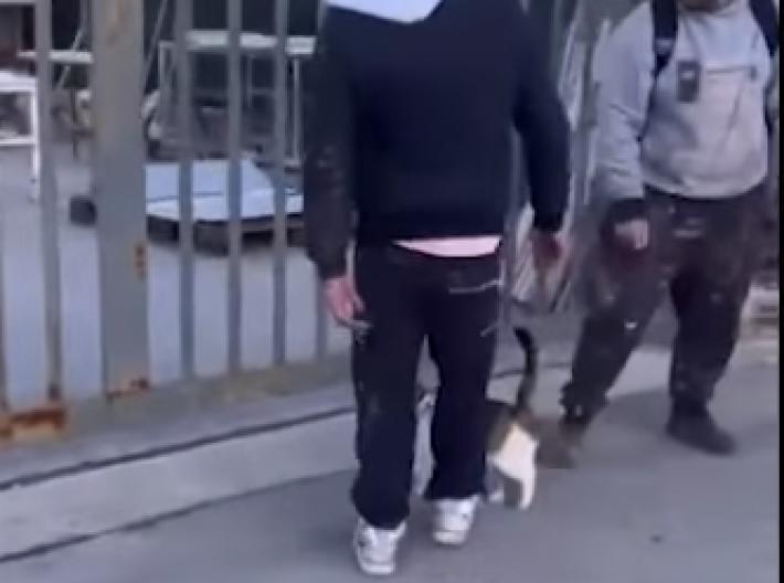 Prendono a calci un gattino e lo fanno roteare in aria, poi postano il video sul web 