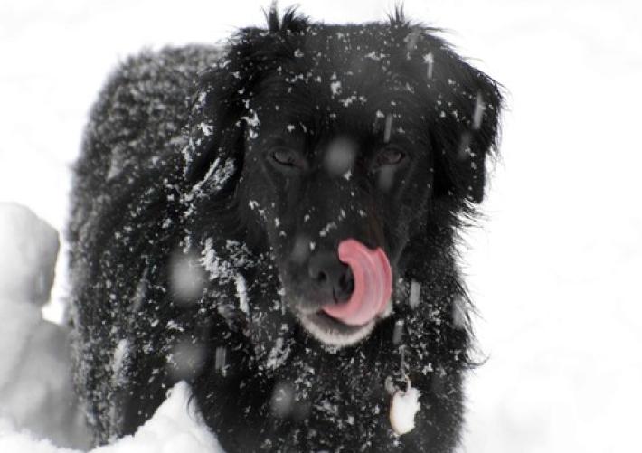 E' imminente un ciclone gelido, tempo in forte peggioramento