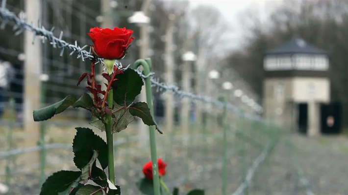 Sala Baganza ricorda il dramma della Shoah con due appuntamenti