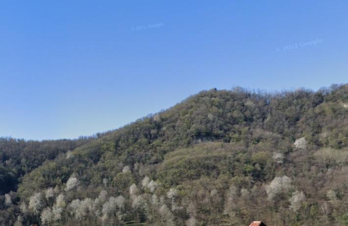 Uomo di 60 anni trovato morto nei boschi del Lecchese