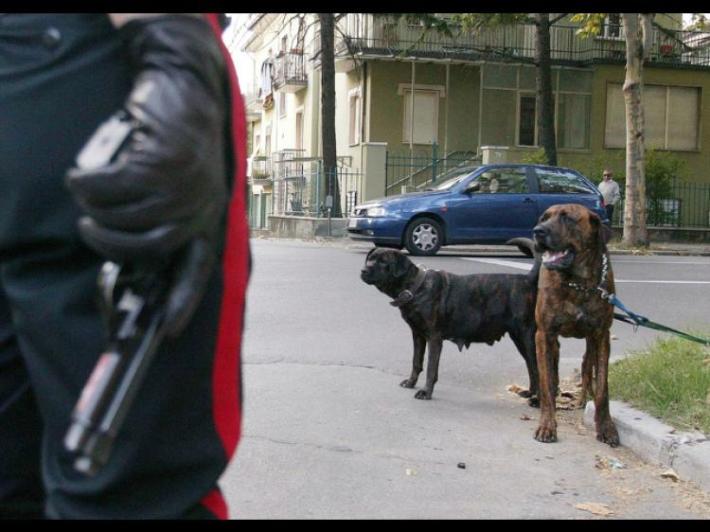 Muore sbranato da tre rottweiler mentre fa jogging vicino a Roma