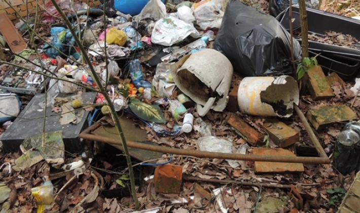 Scempio in golena di Po