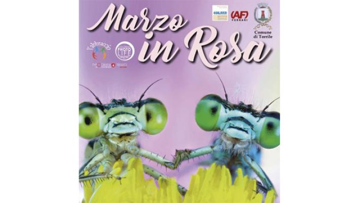 Marzo in rosa 2024 Un mese e mezzo di eventi a Torrile dedicati al mondo femminile