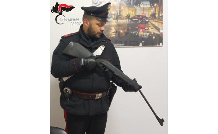 Traversetolo: spara a tre cani con una carabina ad aria compressa. Denunciato 59enne per maltrattamento di animali&nbsp;