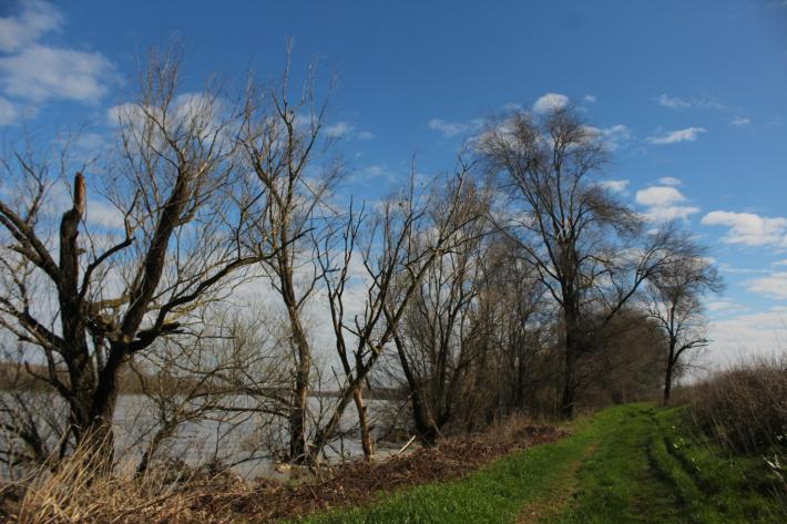 (Dopo la piena) Il Po sta "scendendo"