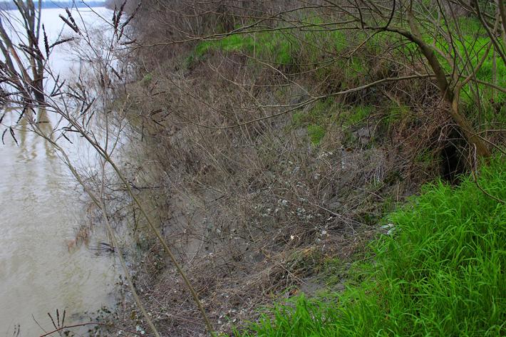 La piena del Po ha causato diverse erosioni spondali