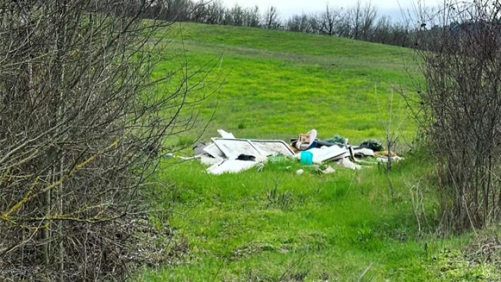 La discarica nell'area verde: maxi multa per i responsabili