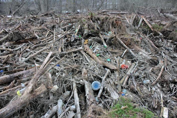 Dopo le piene, nel Po montagne di detriti e rifiuti