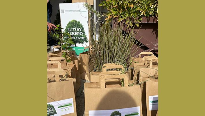 Distribuzione gratuita di alberi a Busseto 