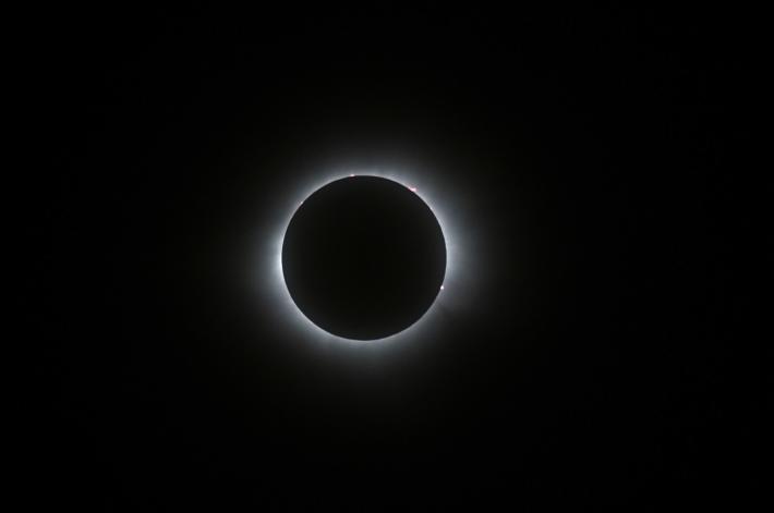 L'America col naso all'ins&ugrave; per l'eclissi totale di sole