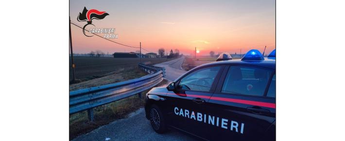 I carabinieri della compagnia di Fidenza hanno svolto controlli ambientali a salvaguardia del territorio. Denunciato il titolare di una attivita&rsquo; operante in provincia nel settore del riciclo di autov