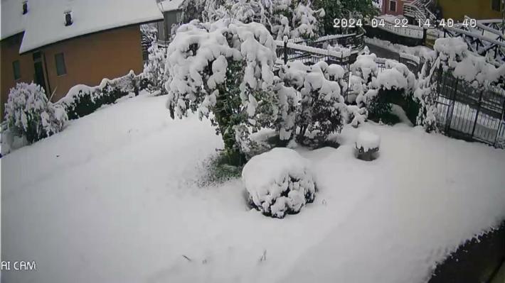 Nevicata di aprile 2024 a Tarsogno: la foto di un lettore 
