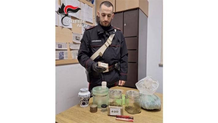 Fidenza: Nascondevano in auto e in casa piante di marjuana e hashish. Arrestati 2 italiani