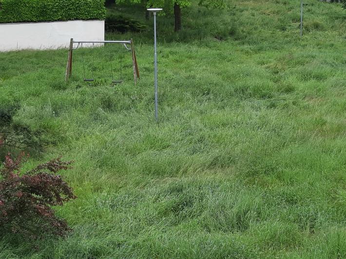 " Il parco Soncini a San Pancrazio  &egrave; sommerso dell'erba altissima"