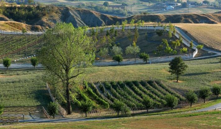 Agricoltura.&nbsp;Fondi Sviluppo rurale&nbsp;in Emilia-Romagna, al&nbsp;via in&nbsp;gennaio&nbsp;26 bandi per circa 290 milioni&nbsp;di euro