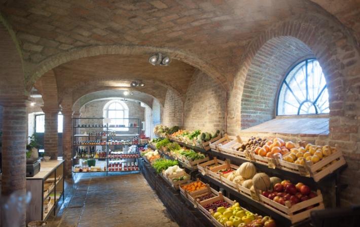 Le orticole e l&rsquo;agricoltura rigenerativa, a tutto campo BIO: dialoghi e dimostrazioni nei campi sperimentali dell&rsquo;Azienda Stuard