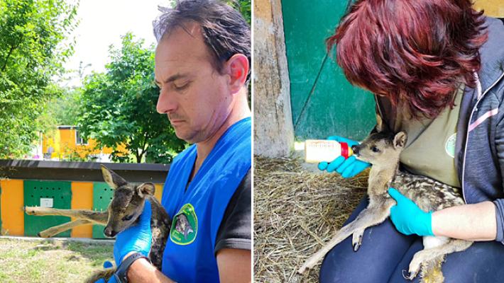 Il rifugio Matildico avvisa: Continuano ad arrivare... Non dovete prenderli !!!.