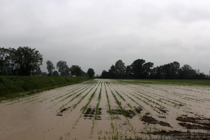Allagamenti e danni nella Bassa 