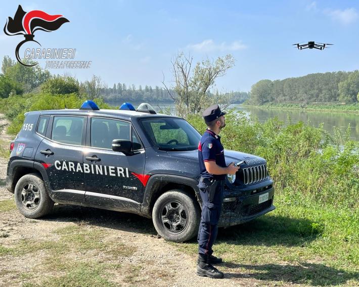 Comunicato carabinieri forestali