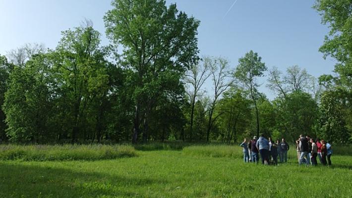 Sfalci selettivi anche al''Universit&agrave; di Parma 