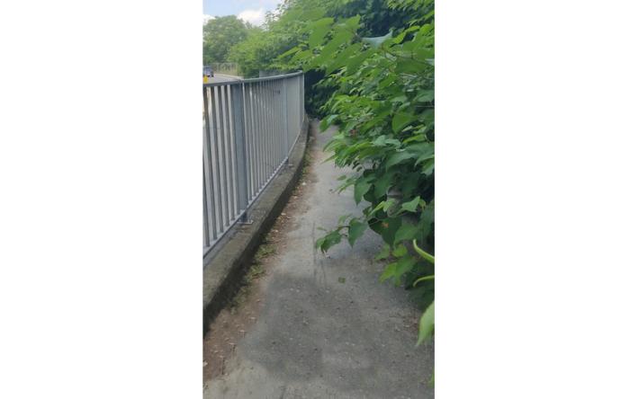 Parma, la pista ciclabile del sottopasso ferroviario di via Reggio &egrave; invasa dalla vegetazione