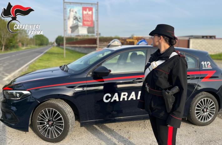 Fidenza: Prende tre pezzi di Parmigiano Reggiano e tre di coppa in una borsa ed esce dal supermercato senza pagare. Denunciata 53enne. 