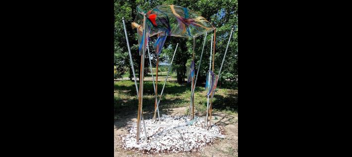 Candida Ferrari: riflessi di bellezza