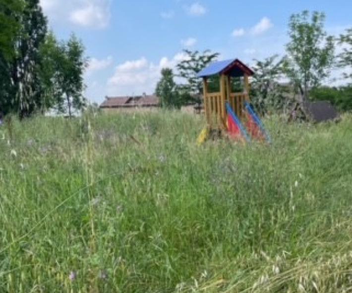 Marano, gli sfalci si fanno attendere