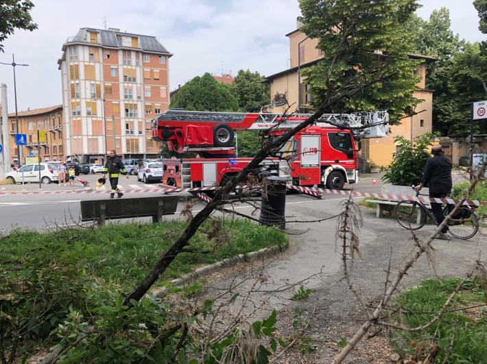 Rami pericolanti in piazzale Santa Croce, vigili del fuoco al lavoro