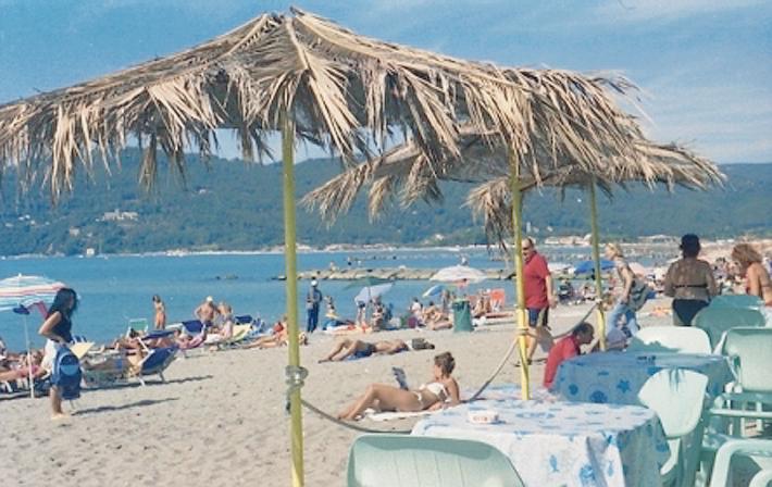 Marinella di Sarzana avvistamento squalo verdesca