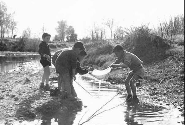 Rane dai fossi al piatto,  rito di inizio estate