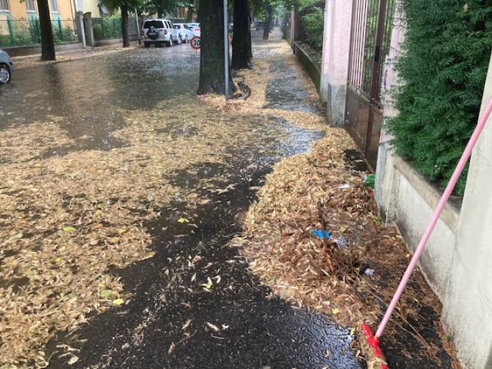 Raccolta foglie a Parma: 15 squadre di spazzamento di cui due operative di notte. 60 operatori mobilitati